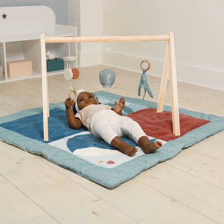 Ocean Collection Baby Activity Gym \x26 Accessories  hi\-res